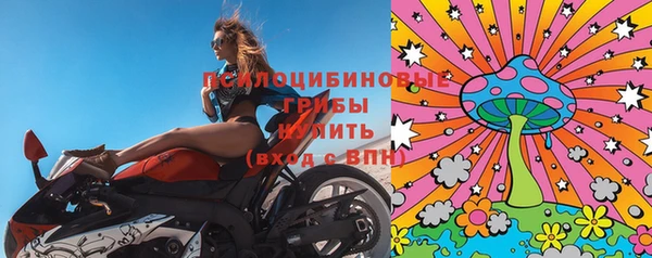 mdpv Протвино