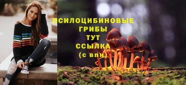 mdpv Приозерск