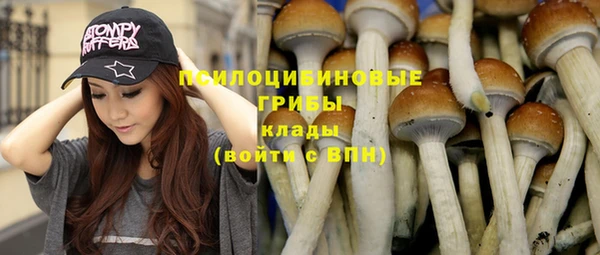 сатива Всеволожск